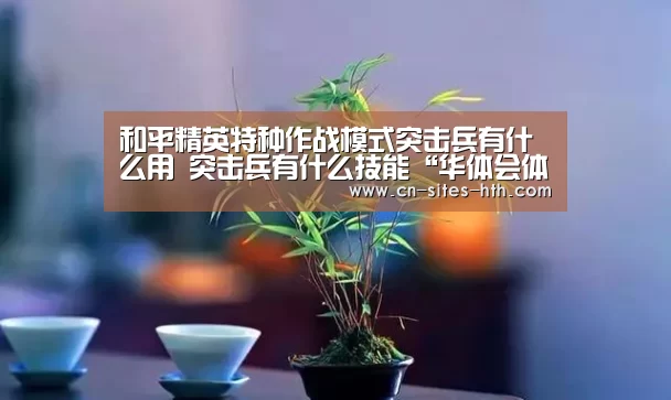 华体会体育
