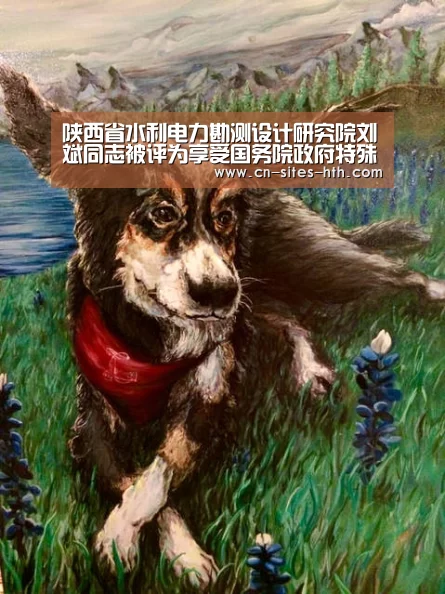 华体会体育