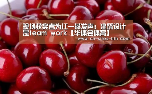 现场获奖者为江一燕发声：建筑设计是team work【华体会体育】