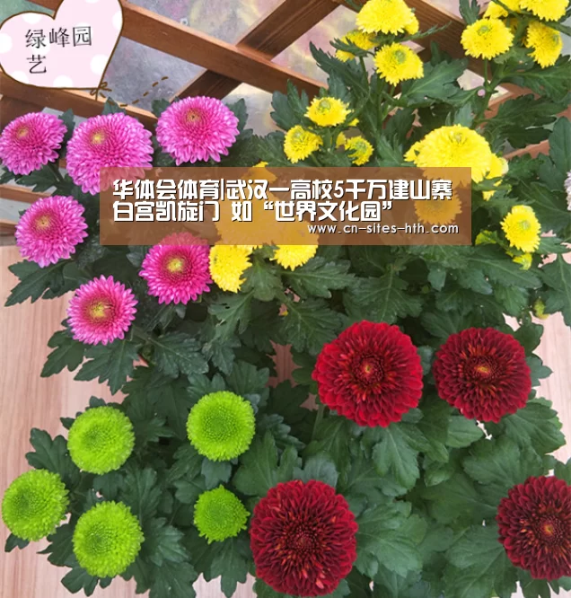 华体会体育|武汉一高校5千万建山寨白宫凯旋门 如“世界文化园”