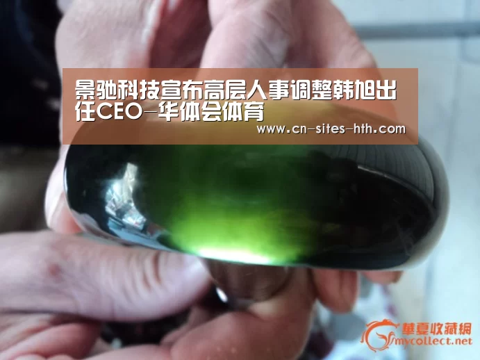 景驰科技宣布高层人事调整韩旭出任CEO-华体会体育