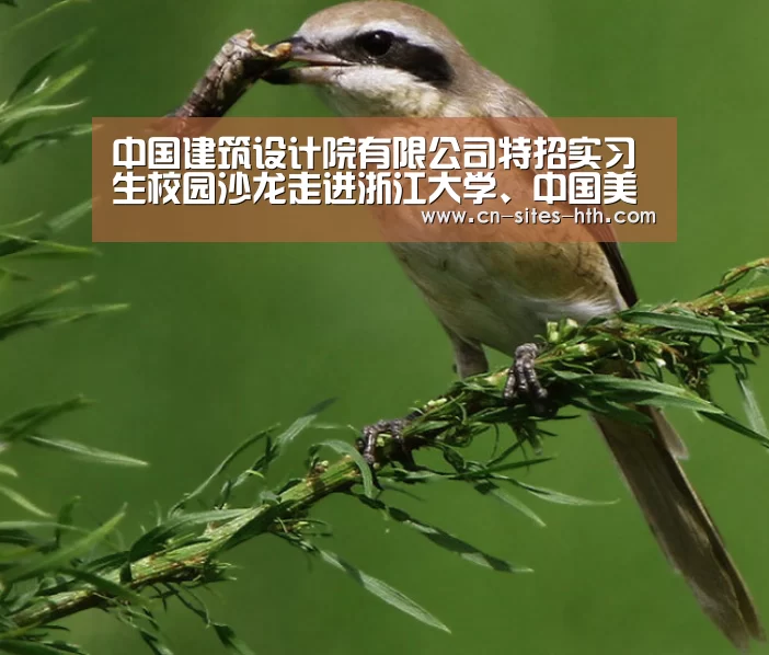 中国建筑设计院有限公司特招实习生校园沙龙走进浙江大学、中国美术学院‘华体会体育’