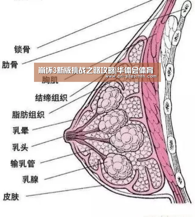 华体会体育