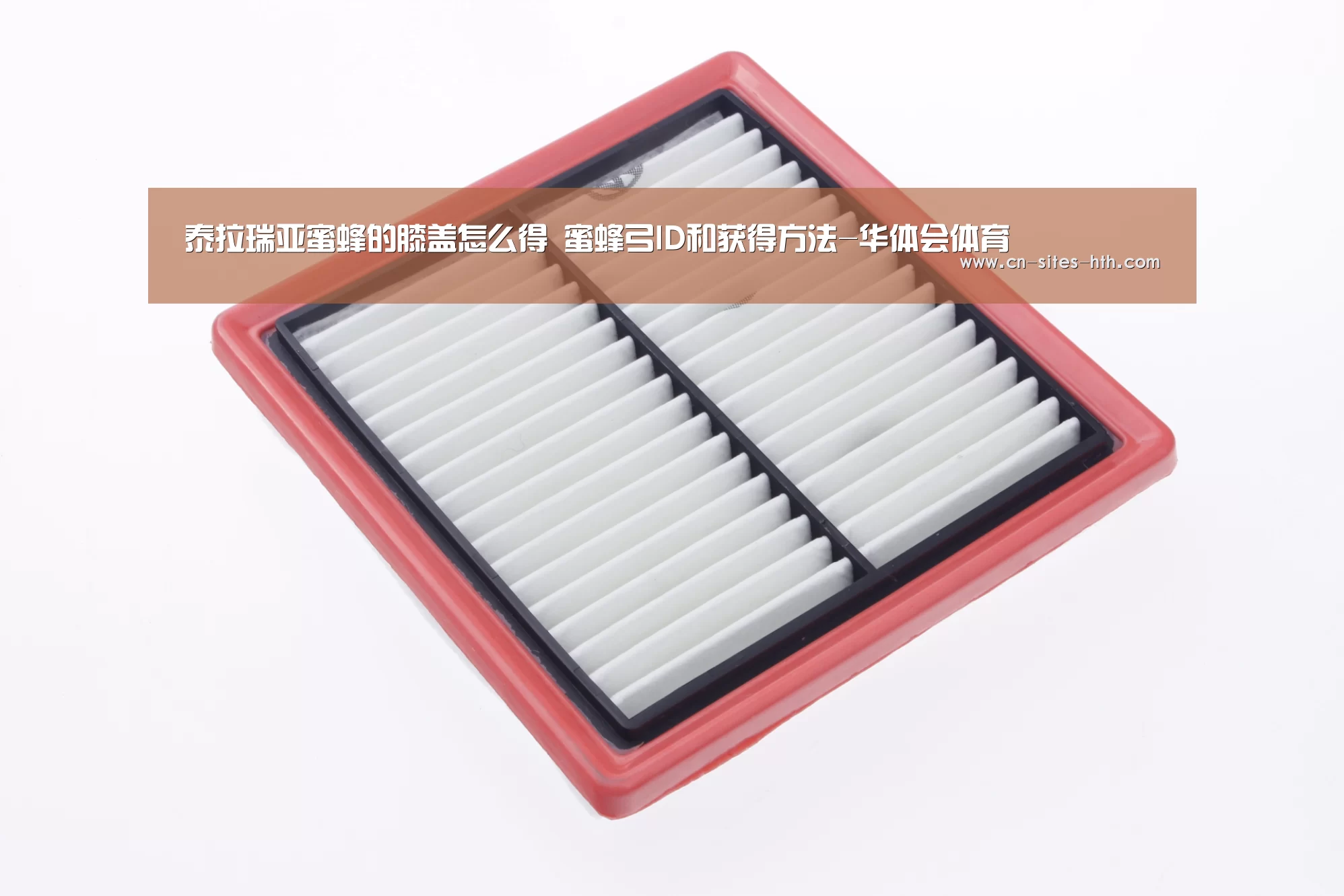 泰拉瑞亚蜜蜂的膝盖怎么得 蜜蜂弓ID和获得方法-华体会体育(图3) 华体会体育