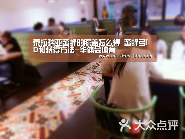 泰拉瑞亚蜜蜂的膝盖怎么得 蜜蜂弓ID和获得方法-华体会体育(图4) 华体会体育