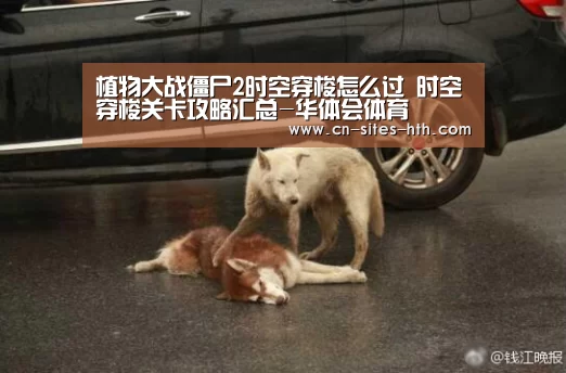 植物大战僵尸2时空穿梭怎么过 时空穿梭关卡攻略汇总-华体会体育