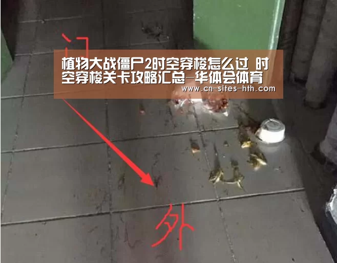 华体会体育