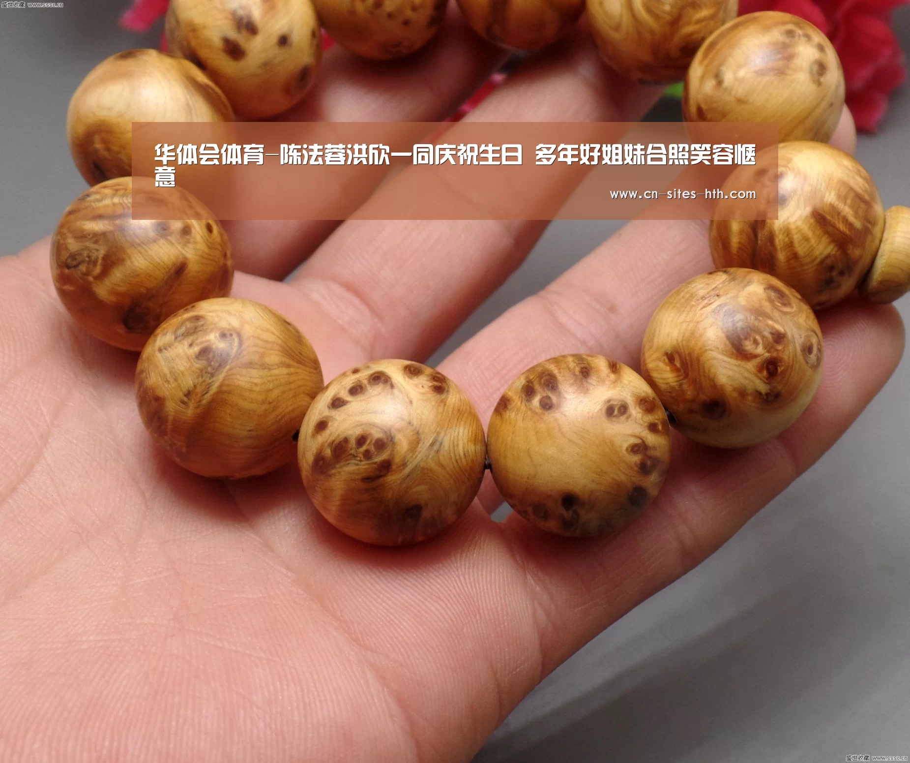 华体会体育