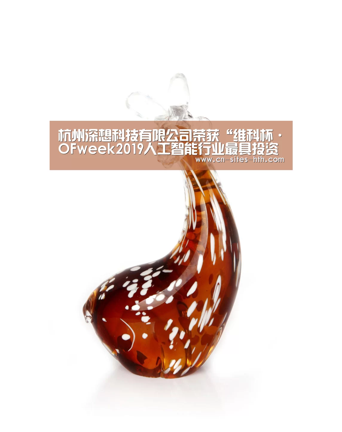 杭州深想科技有限公司荣获“维科杯·OFweek2019人工智能行业最具投资价值奖”‘华体会体育’(图2) 华体会体育
