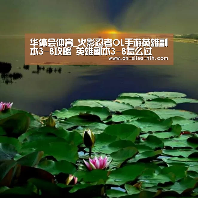 华体会体育