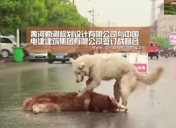 华体会体育