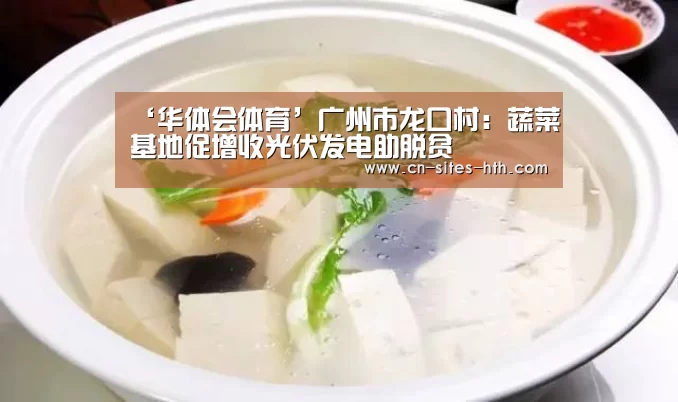 ‘华体会体育’广州市龙口村:蔬菜基地促增收光伏发电助脱贫(图2) 华体会体育