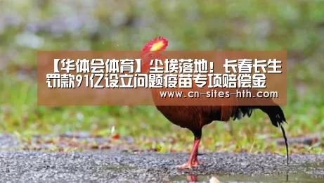 华体会体育