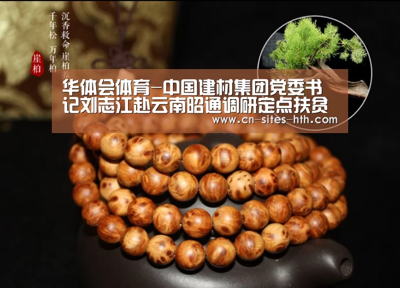 华体会体育