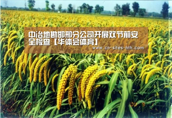 中冶地勘邯邢分公司开展双节前安全检查【华体会体育】