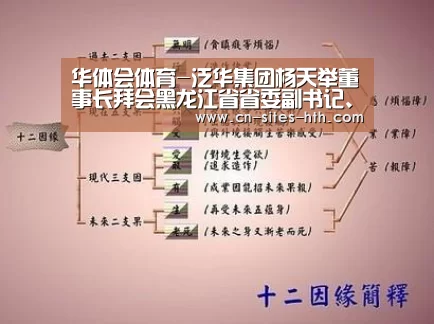 华体会体育