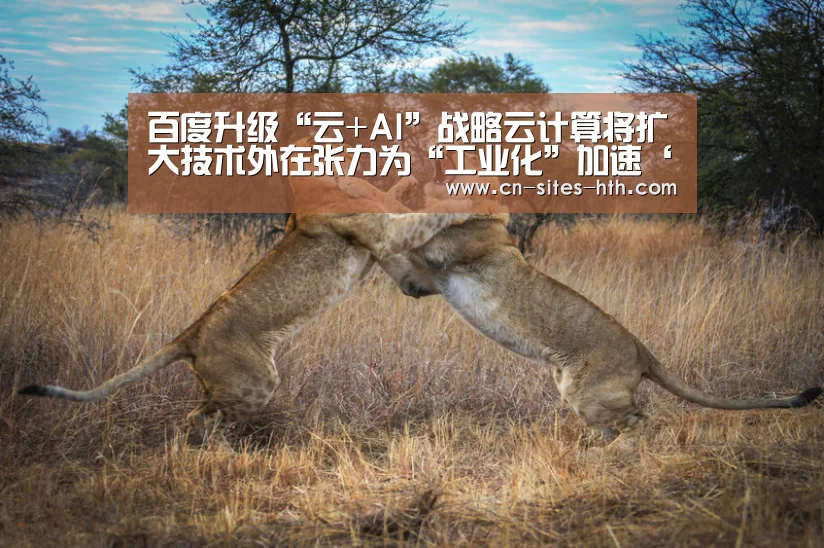 华体会体育