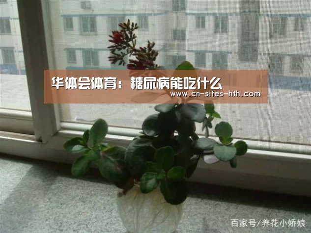 华体会体育